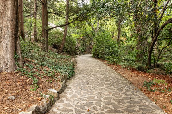 Stone Walkway Repair in Falls Church