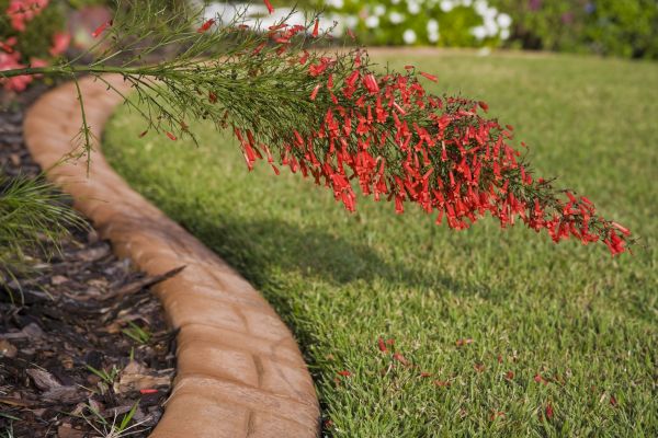 Brick Edging in Falls Church