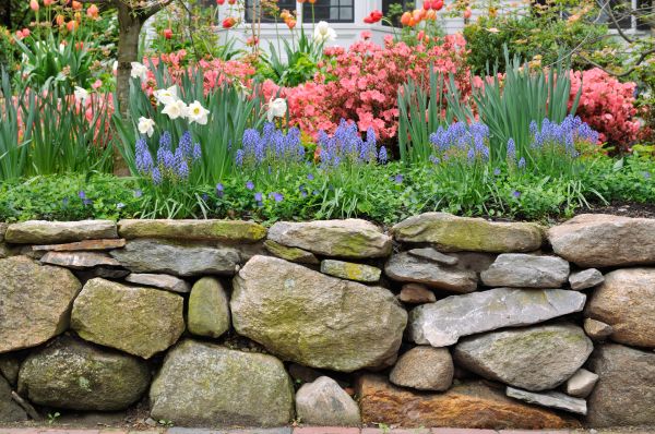 Stone Wall Hardscaping in Falls Church