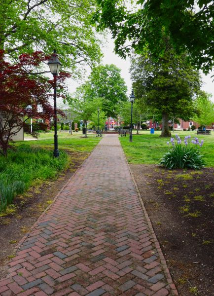 Brick Pathway Repair in Falls Church