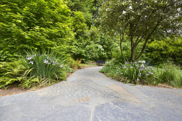 Stone Hardscape Service in Falls Church