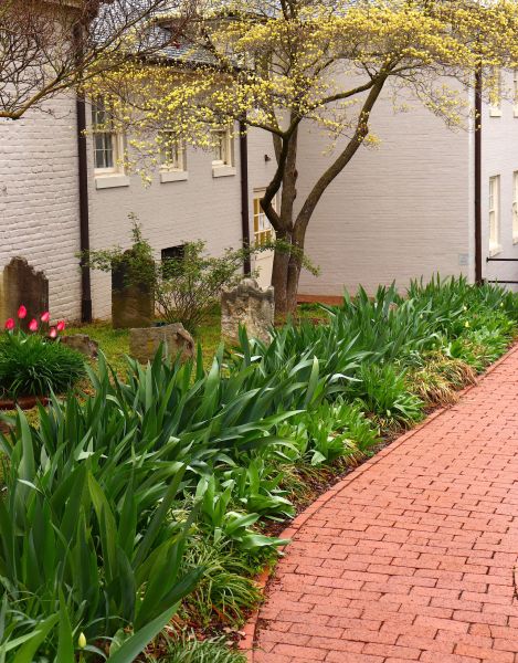 Brick Flatwork Repair in Falls Church